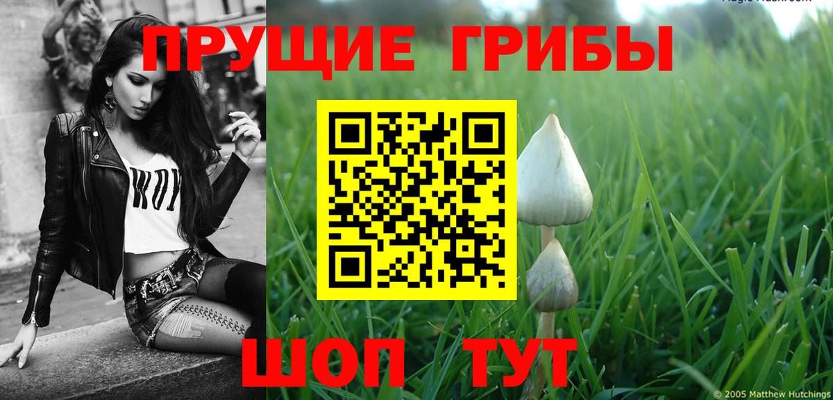 Галлюциногенные грибы ЛСД  Галлюциногенные грибы Magic Shrooms  Вход с VPN  Вятские Поляны 