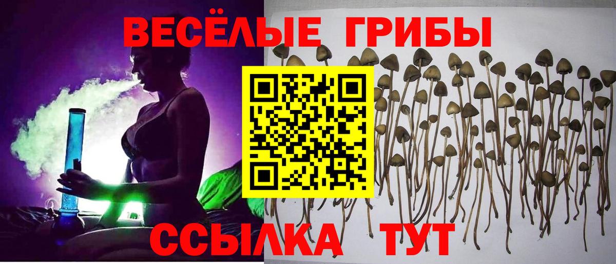 Псилоцибиновые грибы мухоморы Вятские Поляны